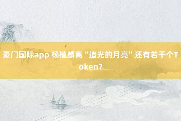 豪门国际app 杨植麟离“追光的月亮”还有若干个Token？