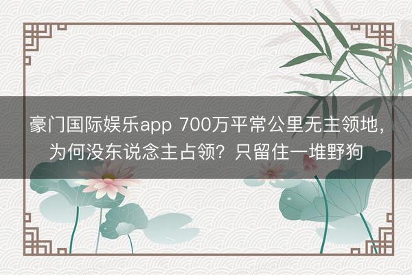 豪门国际娱乐app 700万平常公里无主领地，为何没东说念主占领？只留住一堆野狗